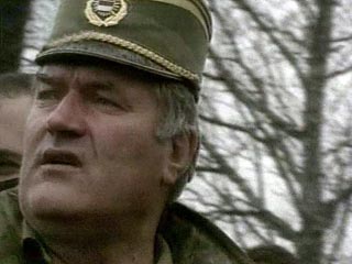Сербские силы безопасности проводят операцию по поимке бывшего начальника генерального штаба армии боснийских сербов Ратко Младича, разыскиваемого Международным трибуналом по бывшей Югославии 