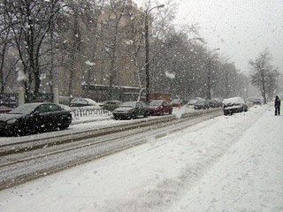 В Москве начались заморозки