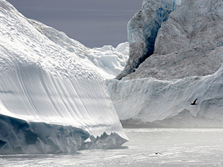 Идея основана на желании Гренландии обладать правами на богатые природные ресурсы региона, которые становятся все доступнее из-за глобального таяния ледников