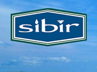Совет директоров компании Sibir Energy, зарегистрированной в Великобритании, планирует выкупить у ее акционера Шалвы Чигиринского объектов недвижимости на 340 млн долларов
