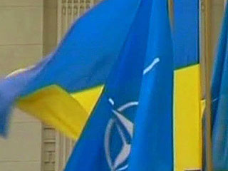 Украина "практически получила" План действий по членству в НАТО
