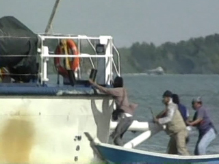 Военно-морские силы Индии сообщили о задержании 23 пиратов, которые пытались захватить торговое судно в Аденском заливе
