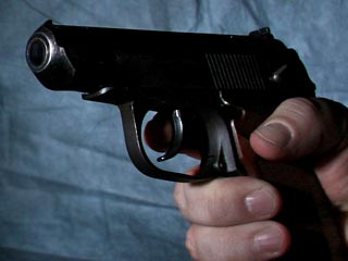 Чтобы остановить всплеск насилия, депутат Госдумы предложил членам правительства застрелиться