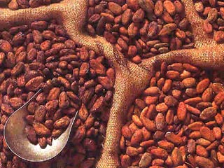 Стоимость какао подскочила до 23-летнего максимума. Эксперты прогнозируют дефицит шоколада 