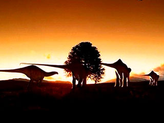 Обнаруженное в этом году кладбище динозавров в восточнокитайской провинции Шаньдун, возможно, является крупнейшим в мире