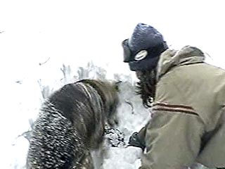 В Приэльбрусье при спуске с горы Чегет погиб горнолыжник из Москвы