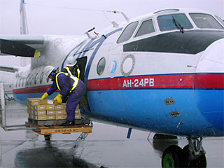 Самолет Ан-24 компании "Сахалинские авиатрассы" получил повреждение пневматики левой стойки шасси во время посадки в аэропорту "Менделеево" на курильском острове Кунашир
