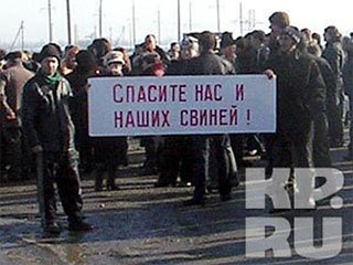 Жители Ставрополья вышли на акцию протеста против забоя свиней из-за африканской чумы