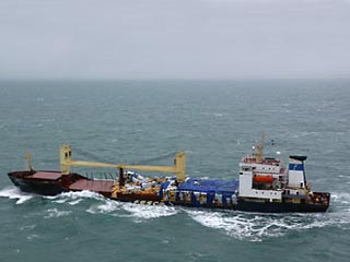 Экипаж российского сухогруза "Синегорск" выбросил у берегов Великобритании 1,5 тысячи тонн леса
