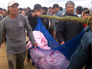 По меньшей мере 40 человек погибли в центральном Вьетнаме, где в воскресенье затонул переполненный речной паром