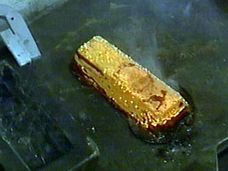 Содержание золота в канализационных отходах города Сува на юге японской префектуры Нагано составляет в среднем 1890 граммов на тонну пепла, образующегося от сжигания сухого осадка. Об этом сообщает ВВС со ссылкой на местные власти