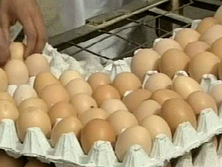 Министр сельского хозяйства РФ Алексей Гордеев не исключает, что через некоторое время в России могут быть введены квоты на производство яиц и мяса птицы