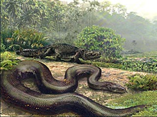 В Колумбии нашли останки огромной доисторической змеи: могла заглотить животное размером с корову