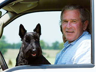Бывший президент США Джордж Буш и его супруга Лора привыкают к новой жизни обычных пенсионеров на своем ранчо в городе Кроуфорд, штат Техас