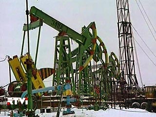 Нефтяная отрасль потеряла в IV квартале 2008 года 8-9 млрд долларов