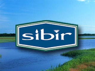В Лондоне приостановлена торговля акциями Sibir Energy