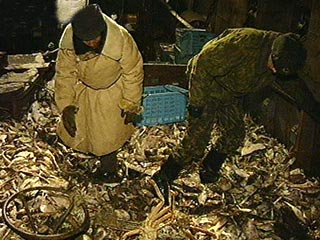 На Камчатке бизнесмену за торговлю крабами грозит 10 лет заключения