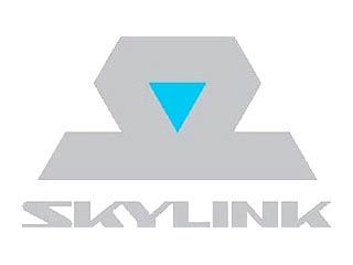Ростелеком" попросил у ФАС разрешения купить сотового оператора Skylink