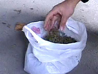 В Тюмени у инспектора областного УВД изъято 5 килограммов марихуаны