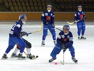 Московские динамовцы стали чемпионами России по хоккею с мячом