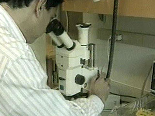 В Японии будет создан микроскоп, который позволит видеть движения атомов