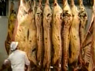 Россельхознадзор предотвратил появление на российском рынке зараженной сальмонеллой свинины. Крупная партия контрабандной свинины из США "всплыла" в Белгородской области