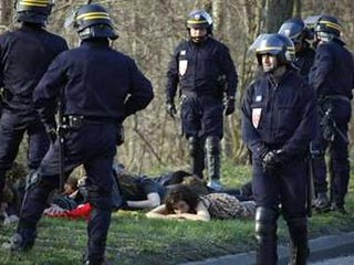 Во Франции начались столкновения антинатовцев с полицией: применен слезоточивый газ, более сотни задержанных