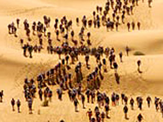 "Марафон в песках" выиграли марокканцы 