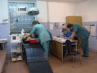 Тревогу забили ветеринары одной из столичных клиник после того, как к ним обратился 42-летний житель Москвы Евгений Ф.