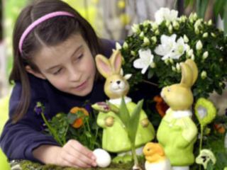 По традиции, принятой в некоторых странах Европы_ именно заяц приносит яйца на праздник Пасхи