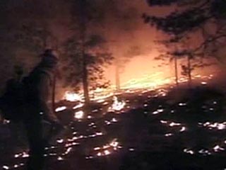Лесные пожары, распространившиеся в населенных пунктах американского штата Южная Каролина, уничтожили порядка 70 жилых домов