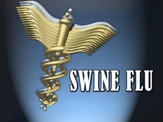 Всемирная организация здравоохранения (ВОЗ) повысила уровень угрозы инфицирования вирусом "свиного гриппа" для населения с третьего до четвертого