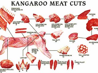 Россельхознадзор с 12 мая временно запретит импорт мяса кенгуру с одного из австралийский предприятий из-за выявления в этой продукции сальмонелл
