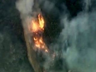 В американском штате Калифорния в окрестностях города Санта-Барбара продолжают бушевать сильные лесные пожары