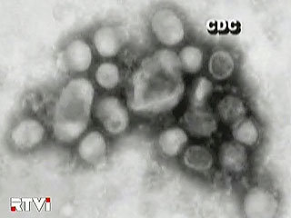 В материковом Китае подтвержден первый случай заражения вирусом A/H1N1