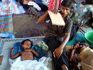 ООН резко осудила применение правительственными войсками Шри-Ланки артиллерии на севере страны и назвала "бойней" убийство сотен мирных жителей