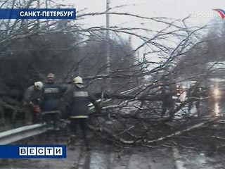 Штормовой ветер в Петербурге повалил деревья и лишил город FM-радиостанций 