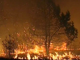 На Дальнем Востоке снизилось число лесных пожаров, но более 16 тыс гектаров еще в огне