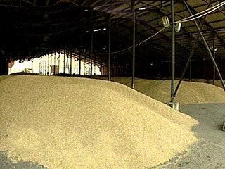 За две недели до всемирного Зернового форума в Санкт-Петербурге крупнейший импортер российской пшеницы Египет арестовал в своих портах около 4% годового импорта зерна из России