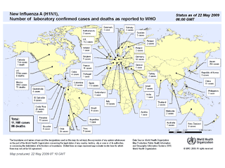 ВОЗ: Гриппом A/H1N1 заболело 11 тысяч 168 человек в 42 странах