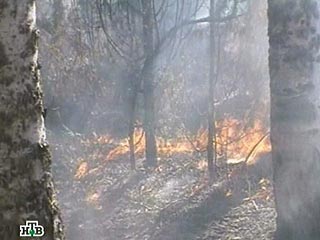 За прошедшие сутки в лесах Забайкалья зафиксировано 24 пожара на площади свыше 5 тысяч гектаров
