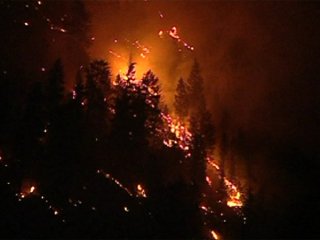 Почти 300 пожарных вели борьбу с огнем в двух горных районах канадской провинции Британская Колумбия