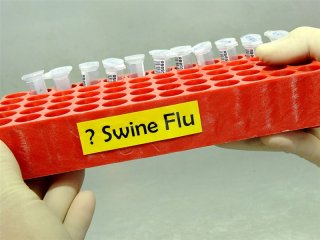 В Новой Зеландии число зараженных вирусом гриппа A/H1N1 достигло 258 человек