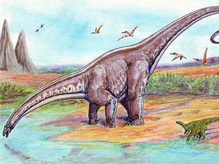 Новые изыскания могут заставить исследователей пересмотреть многие из взглядов, в частности, по поводу гигантских травоядных, таких как апатозавры, которые, как считалось ранее, весили до 37 тонн. По новым данным, истинный вес этих существ был ближе к 18 