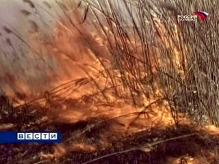 Жители Ставрополья во вторник были напуганы рыжим облаком, которое не является метеорологическим явлением, оно образовалось вследствие дыма от пожаров на территории края, вызванных чрезвычайной пожароопасностью в условиях жары