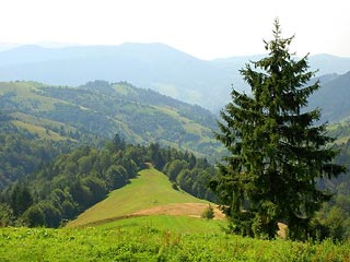 Карпаты - горная система в Центральной Европе, на территории Словакии, Венгрии, Польши, Украины, Румынии, Сербии и частично Австрии