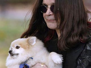 Дикий койот съел любимую собаку солиста группы Black Sabbath Оззи Осборна, пока хозяин вместе со своей супругой Шэрон смотрели по телевизору церемонию прощания с Майклом Джексоном