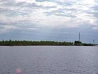 Плавучий остров на Нарвском водохранилище, который уплыл из России в Эстонию, могут уничтожить, если он слишком близко подойдет к плотине российской ГЭС