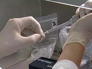 Томские медики обещают не допустить распространения в области свиного гриппа