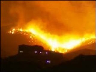 Возгорание сухого леса на греческом острове Закинф стало причиной эвакуации 70 туристов